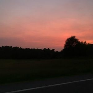 Meet your Posher, Heidi